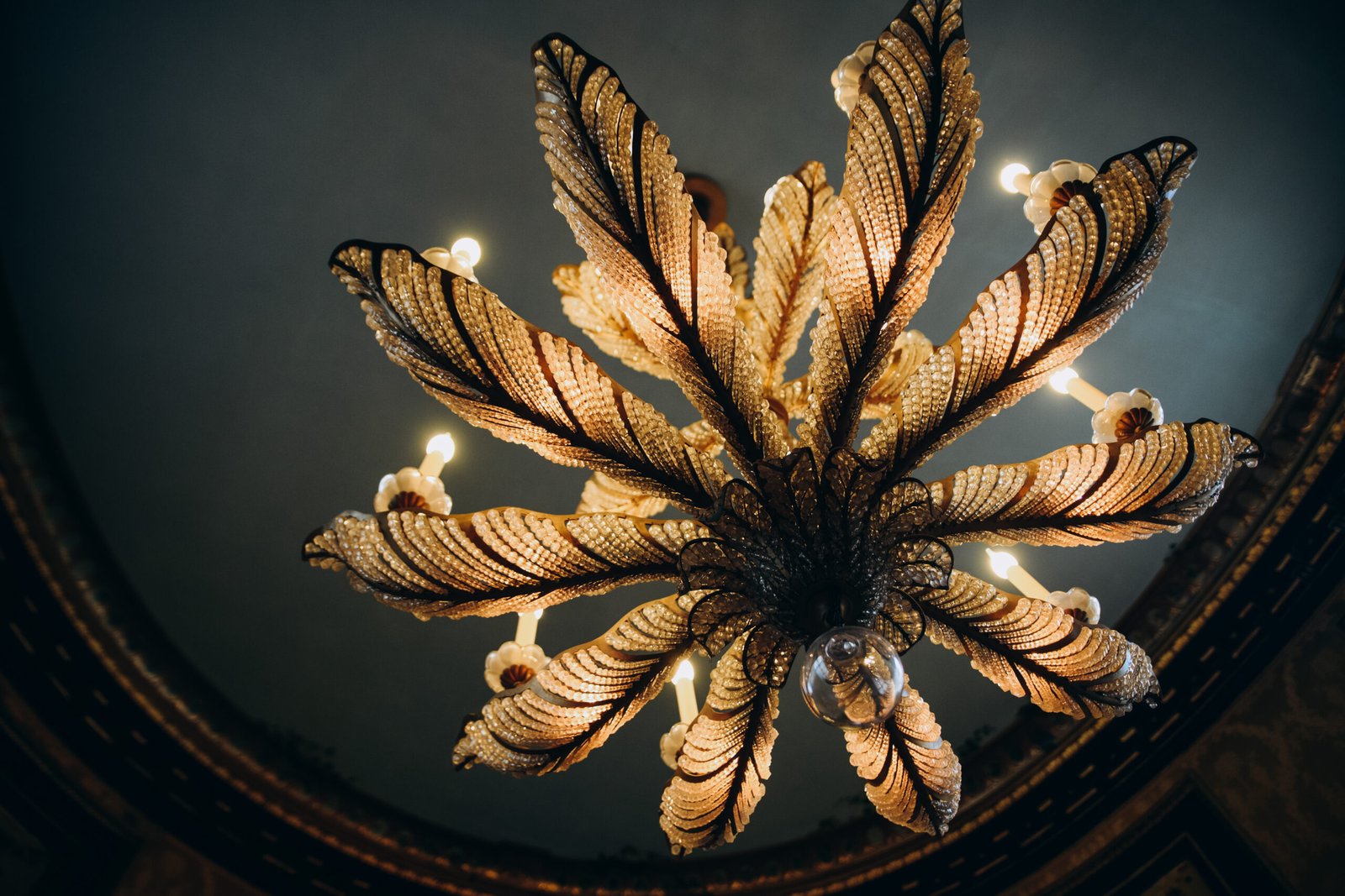 Luxury ceiling design with chandelier by The Grey